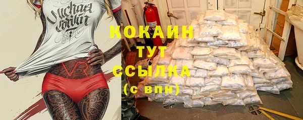сатива Беломорск