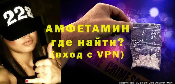 сатива Беломорск