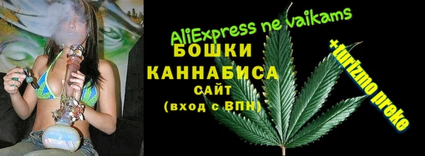 ГАЛЛЮЦИНОГЕННЫЕ ГРИБЫ Белоозёрский