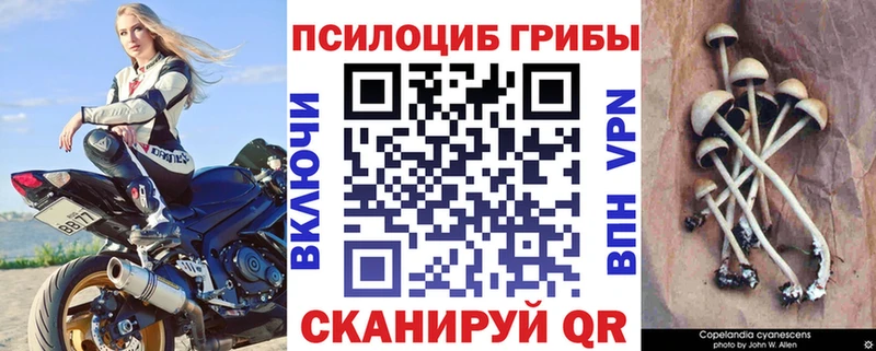 Псилоцибиновые грибы ЛСД  blacksprut ссылка  Шлиссельбург 